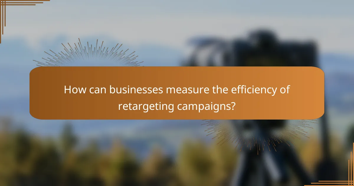How can businesses measure the efficiency of retargeting campaigns?