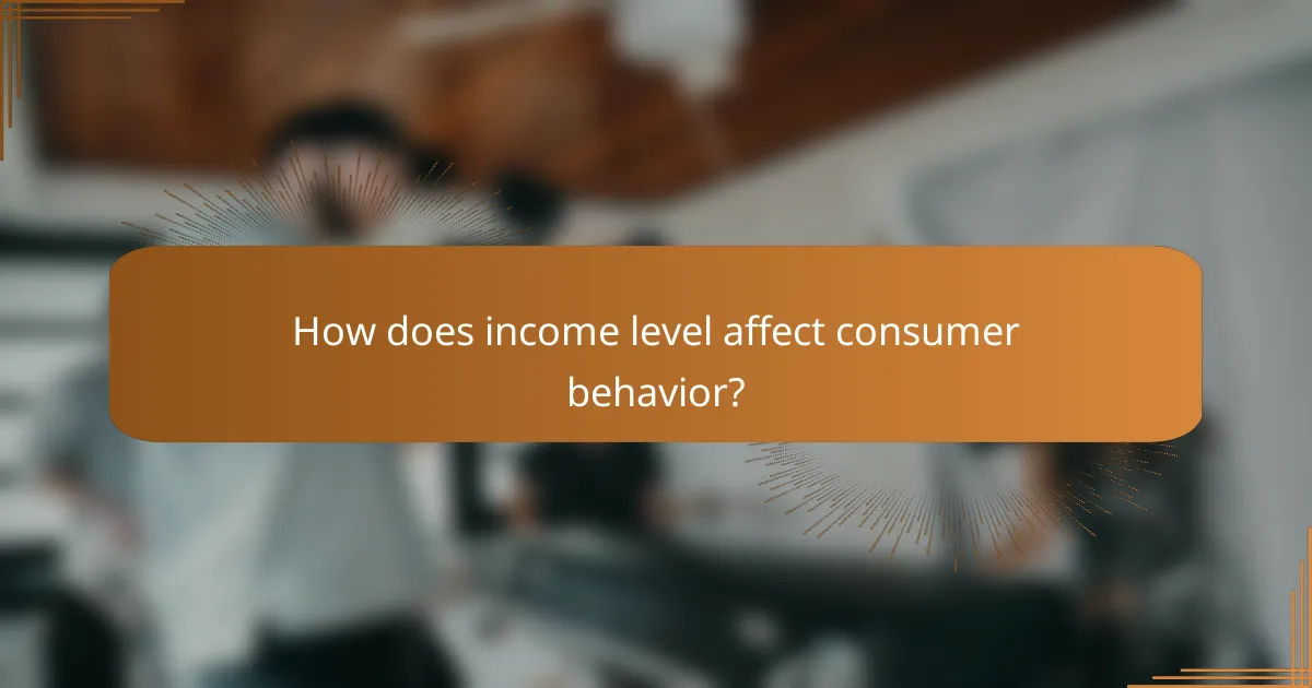 How does income level affect consumer behavior?
