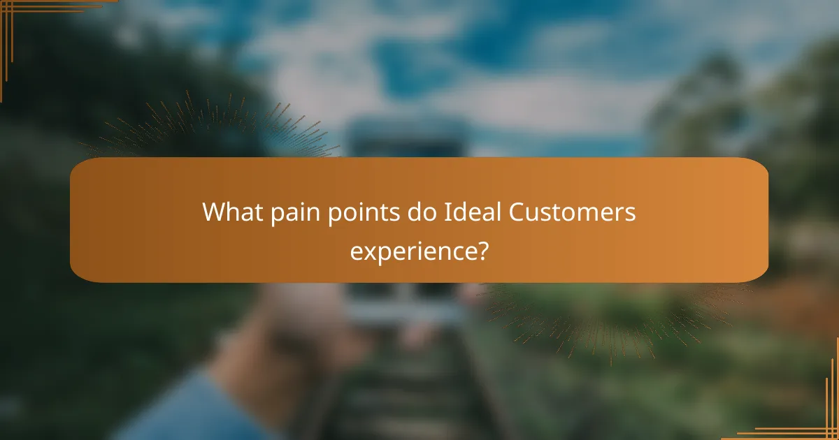 What pain points do Ideal Customers experience?